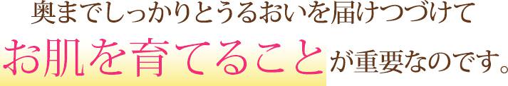 奥までしっかりとうるおいを届けつづけて、お肌を育てることが重要なのです。
