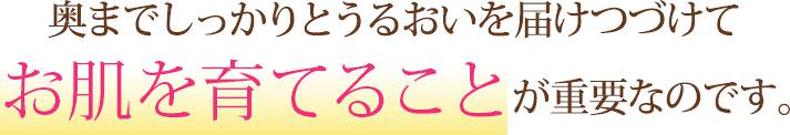 奥までしっかりとうるおいを届けつづけて、お肌を育てることが重要なのです。