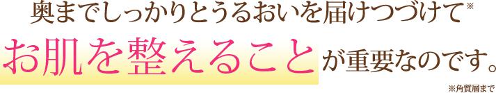 奥までしっかりとうるおいを届けつづけて※、お肌を整えることが重要なのです。※角質層まで
