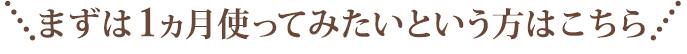 まずは1ヶ月使ってみたいという方はこちら