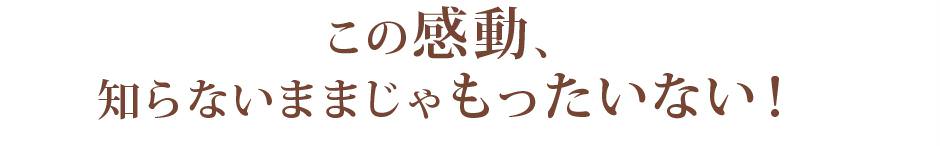 この感動、知らないままじゃもったいない！